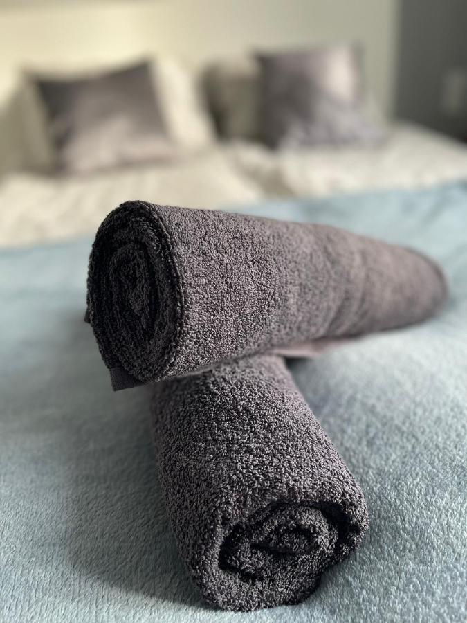 カトヴィツェPrzestronny Apartament 5 Min Od Centrum Katowic.アパートメント エクステリア 写真