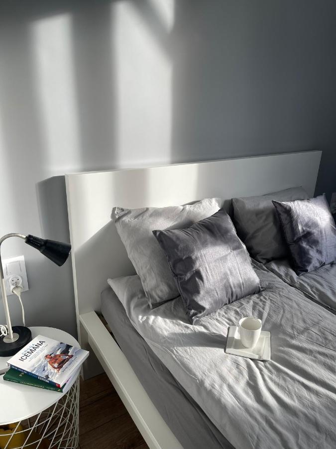 カトヴィツェPrzestronny Apartament 5 Min Od Centrum Katowic.アパートメント エクステリア 写真