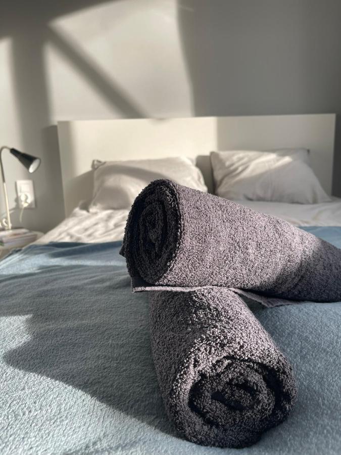 カトヴィツェPrzestronny Apartament 5 Min Od Centrum Katowic.アパートメント エクステリア 写真