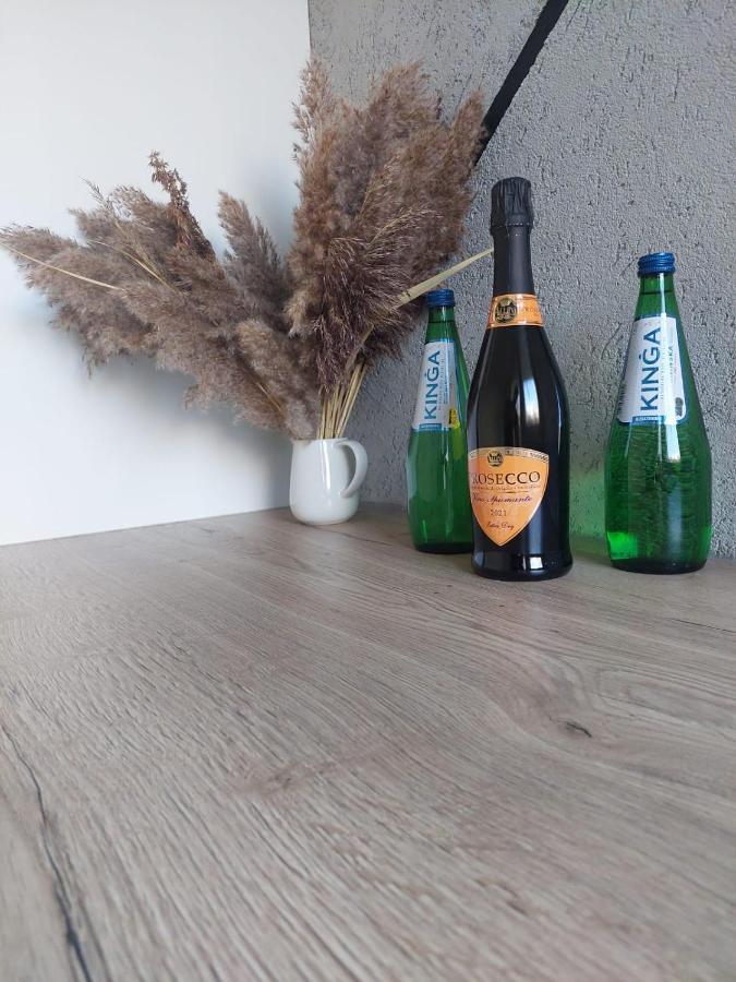 カトヴィツェPrzestronny Apartament 5 Min Od Centrum Katowic.アパートメント エクステリア 写真